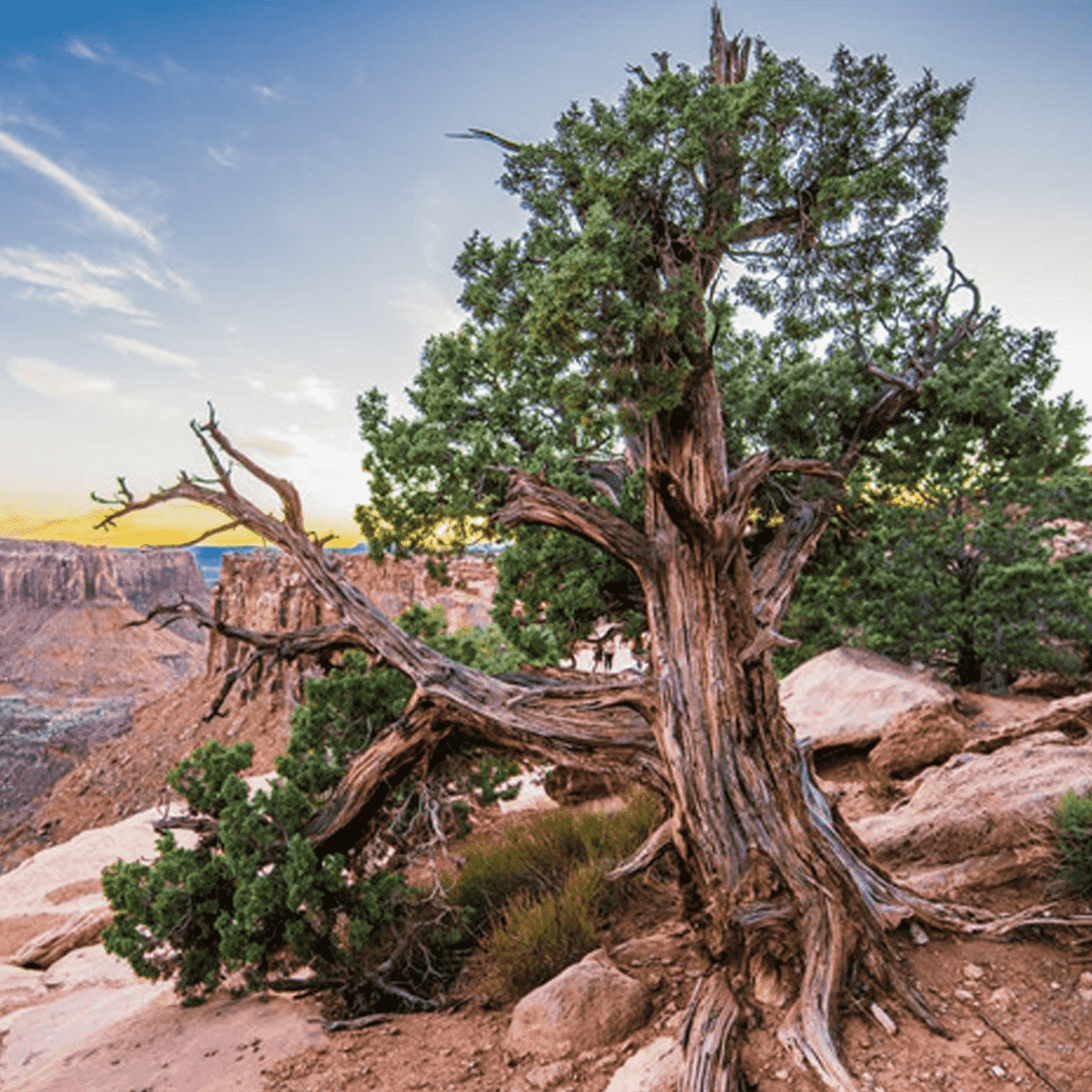 Kanab property